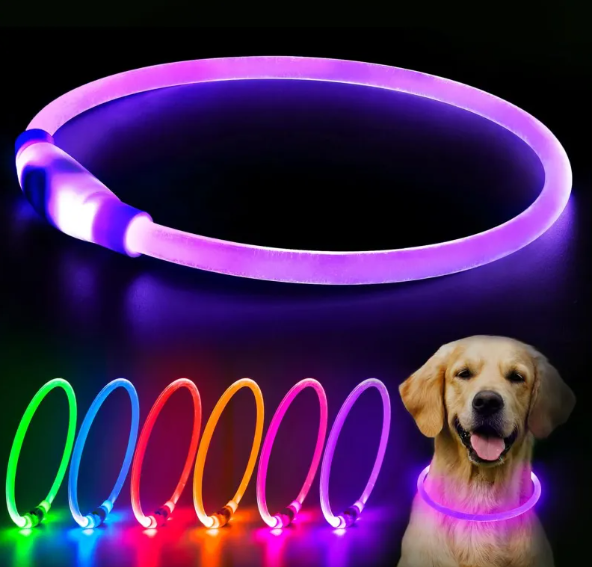 NightGlow™ - USB Rechargeable LED Safety Collar